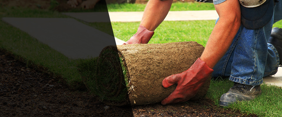 Little Falls Landscapers